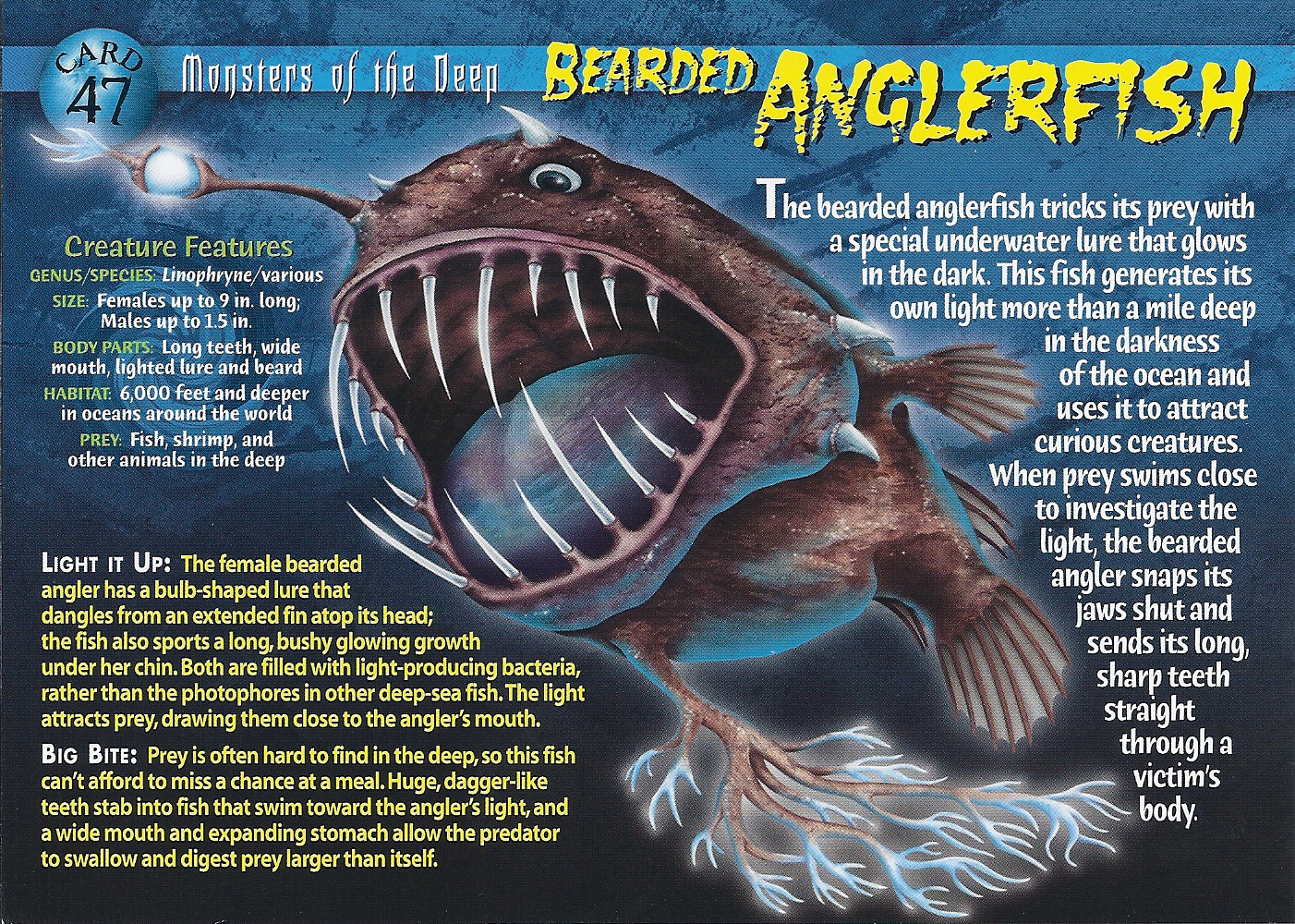 Bearded Anglerfish, Weird n' Wild Creatures Wiki
