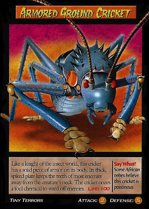 Armored_Ground_Cricket.jpg