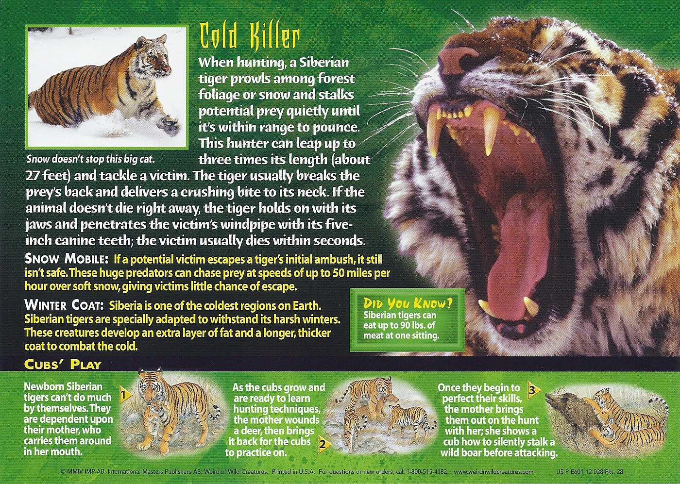 Bengal Tiger, Weird n' Wild Creatures Wiki