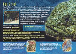 Toadfish, Weird n' Wild Creatures Wiki