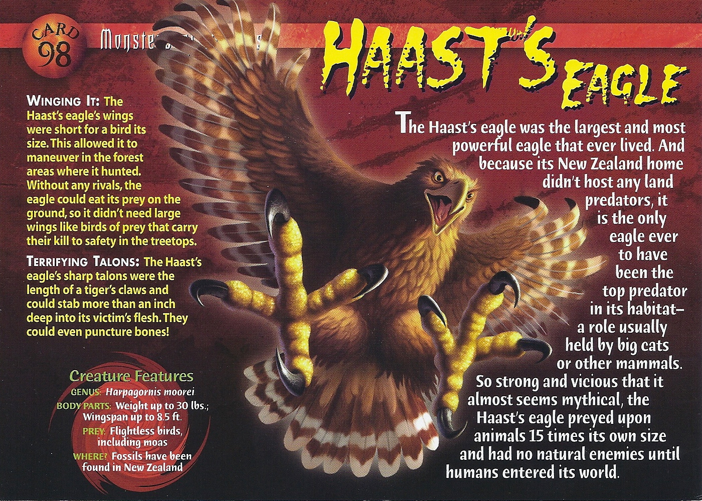 Haast's Eagle, Weird n' Wild Creatures Wiki