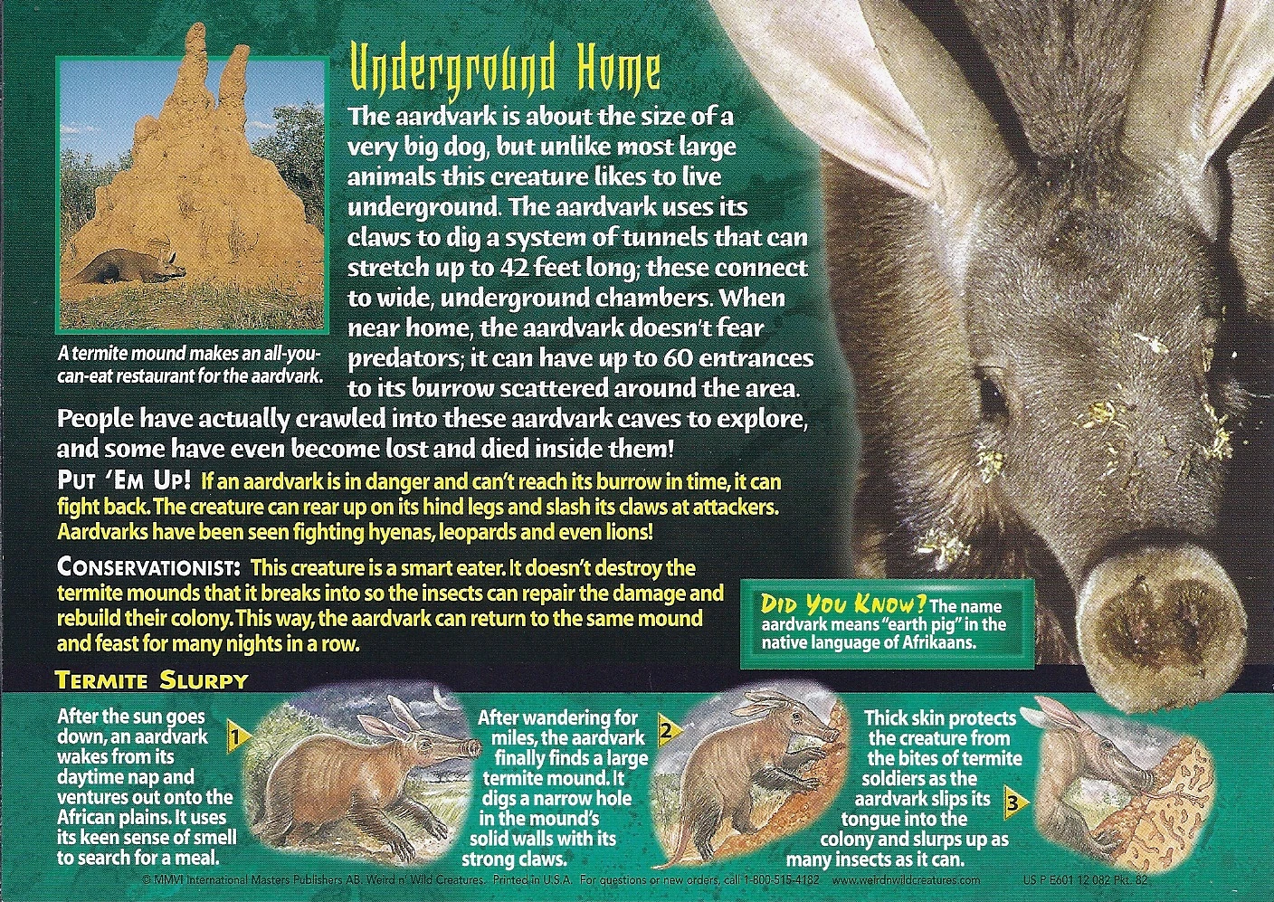 【Deram Nova】Aardvark / Aardvark Aardvark – Aardvark – CD (Album, Reissue), 1995 [r4952745