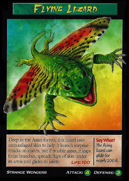 Flying Lizard | Weird n' Wild Creatures Wiki | Fandom