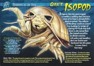 Giant Isopod front.jpg (1.34 MB) Giant Isopod