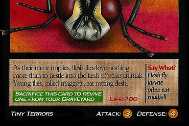 Mosquito / Wants your blood 激レア サイコビリー maxresdefault.jpg