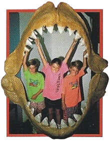 Megalodon Back Image