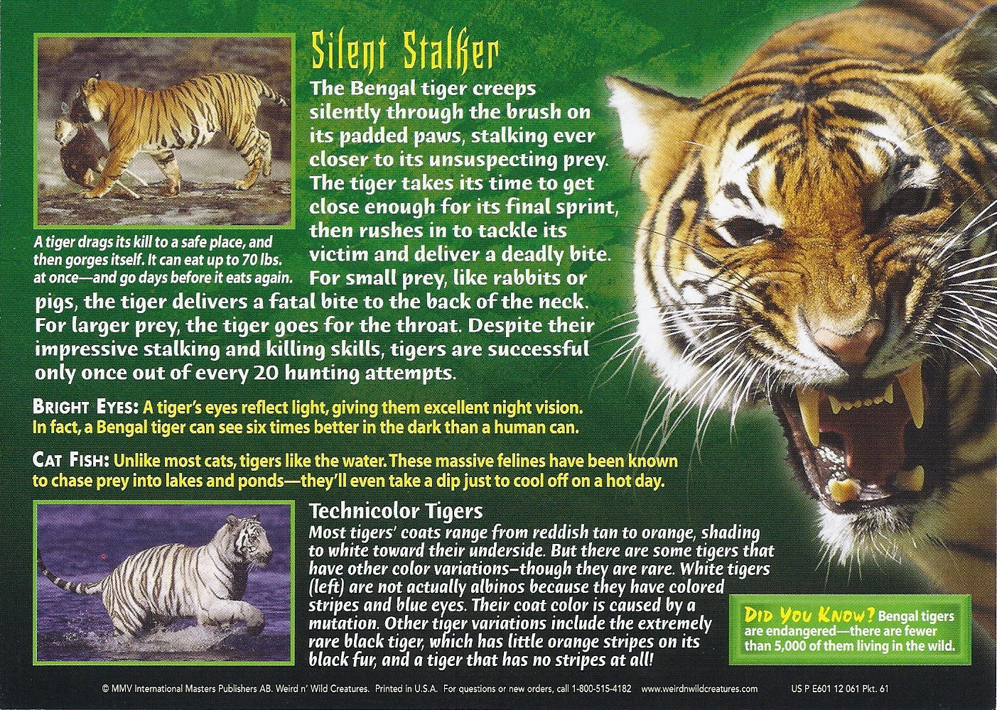 Bengal Tiger, Weird n' Wild Creatures Wiki