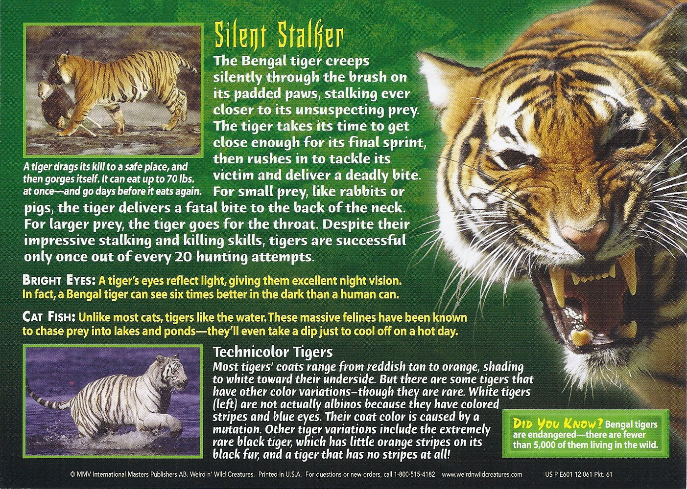 Bengal Tiger Facts  India Wildlife Guide