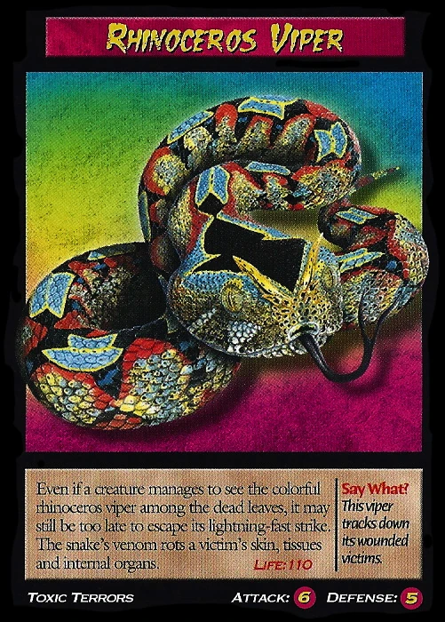 Rhinoceros Viper | Weird n' Wild Creatures Wiki | Fandom