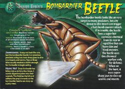 Bombardier Beetle front