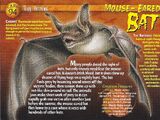 Mouse-Eared Bat