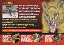 Tasmanian Wolf back