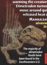 Dimetrodon Back Image