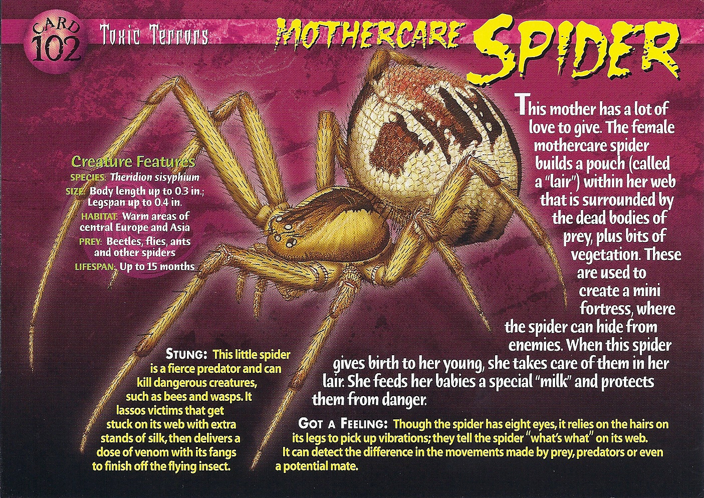 The Nurturing Nature of Spider Moms