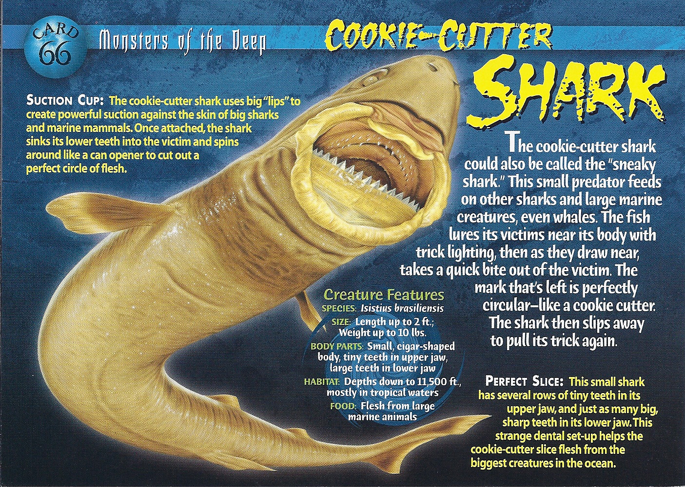 shark cutter