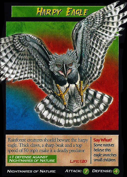 Harpy Eagle, Weird n' Wild Creatures Wiki