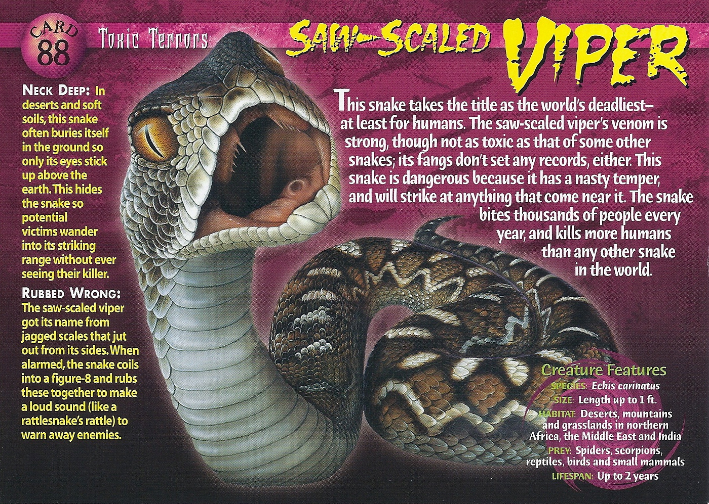 Viper – Wikipedia