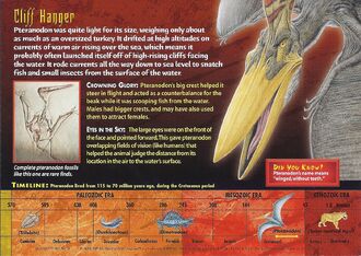 Pteranodon back