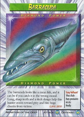 Barracuda Diamond