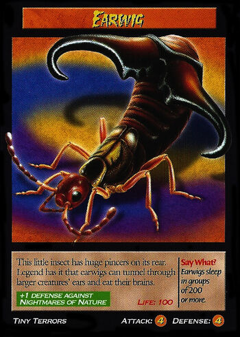 Earwig | Weird n' Wild Creatures Wiki | Fandom