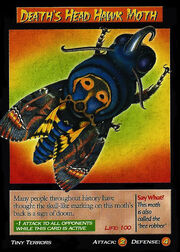 Death's Head Hawk Moth.jpg