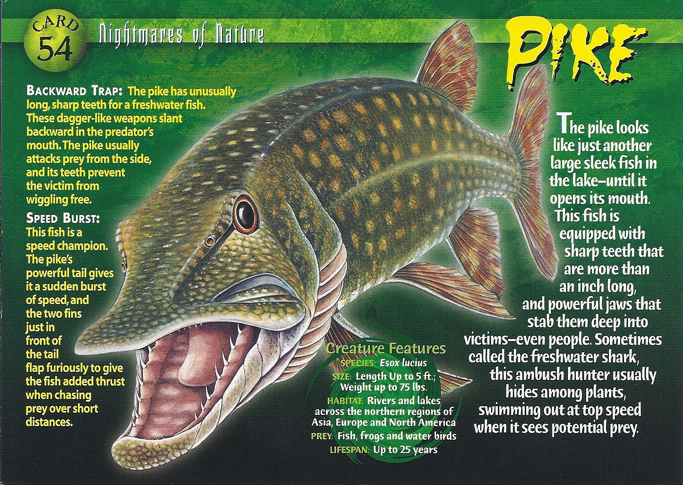 HS57 - Creature Features 14 - Pike - Small