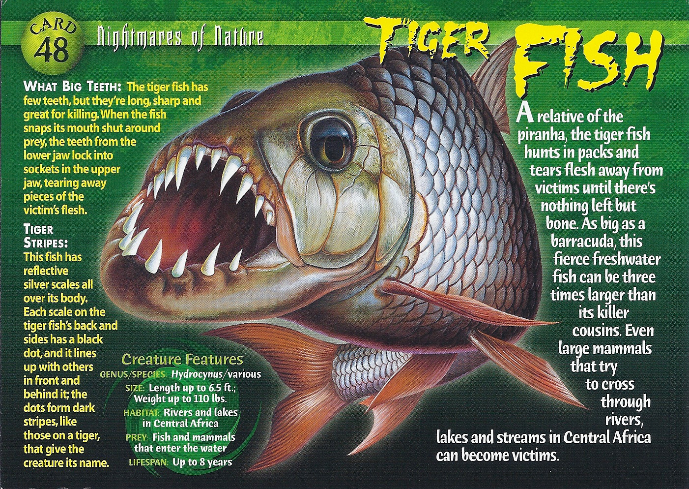 Tiger Fish, Weird n' Wild Creatures Wiki