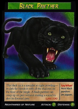 Black Panthers | Weird n' Wild Creatures Wiki | Fandom