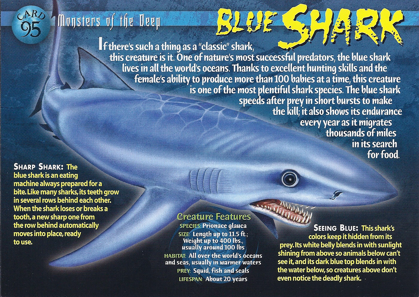 picture of deep blue shark