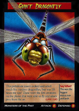 Giant Dragonfly