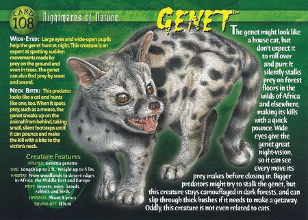 Genet front