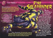 Fire Salamander front.jpg (1.28 MB) Fire Salamander
