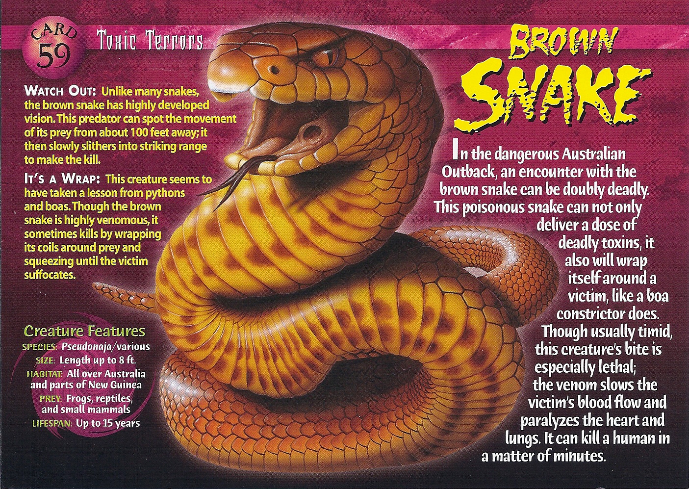 Fascinating Facts about the Eastern Brown Snake