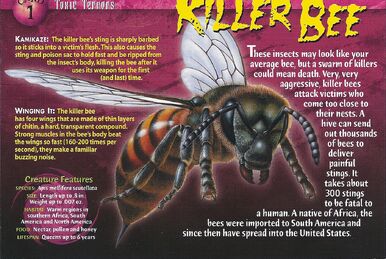 Man Stung 160 Times By 'Killer' Africanized Bees Has Heart Attack