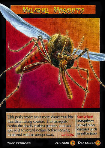 Malarial Mosquito