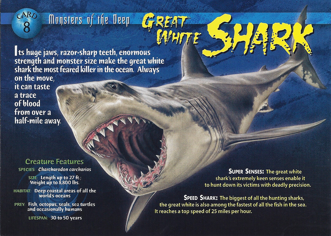 Shark Mouth Card 