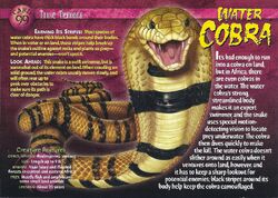 Water Cobra front