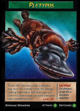 Platypus | Weird n' Wild Creatures Wiki | Fandom