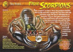 False Scorpions front