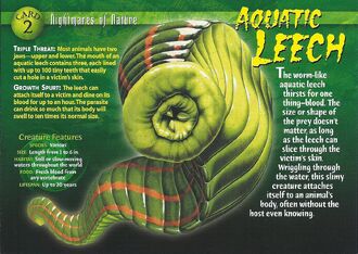 Aquatic Leech front