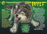Gray Wolf front.jpg (1.34 MB) Gray Wolf