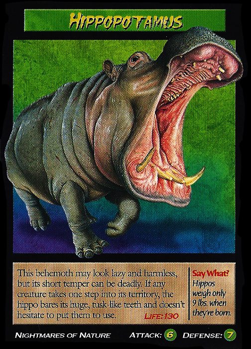 Hippopotamus | Weird n' Wild Creatures Wiki | Fandom Hippopotamus | Weird n' Wild Creatures Wiki | Fandom