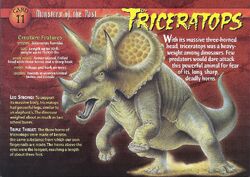 Triceratops front