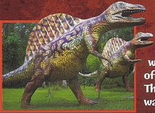 Spinosaurus Back Image