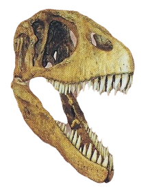 Carcharodontosaurus Back Image