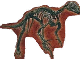 Hypsilophodon Back Image