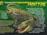 Salvadori Monitor