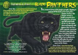 Black Panthers | Weird n' Wild Creatures Wiki | Fandom