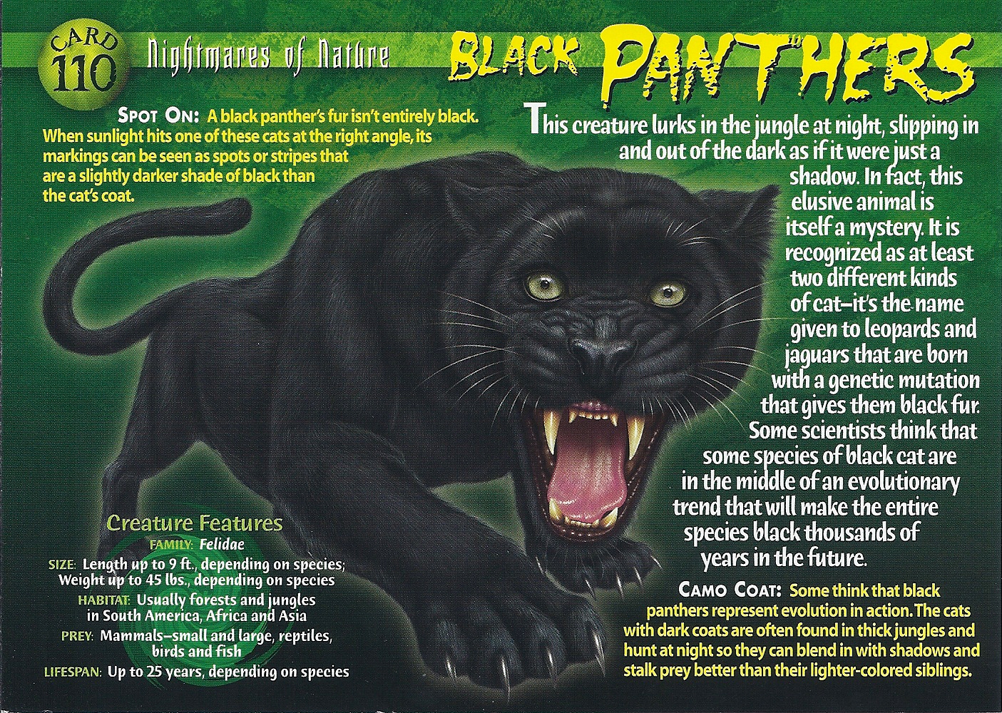 Black Panthers, Weird n' Wild Creatures Wiki