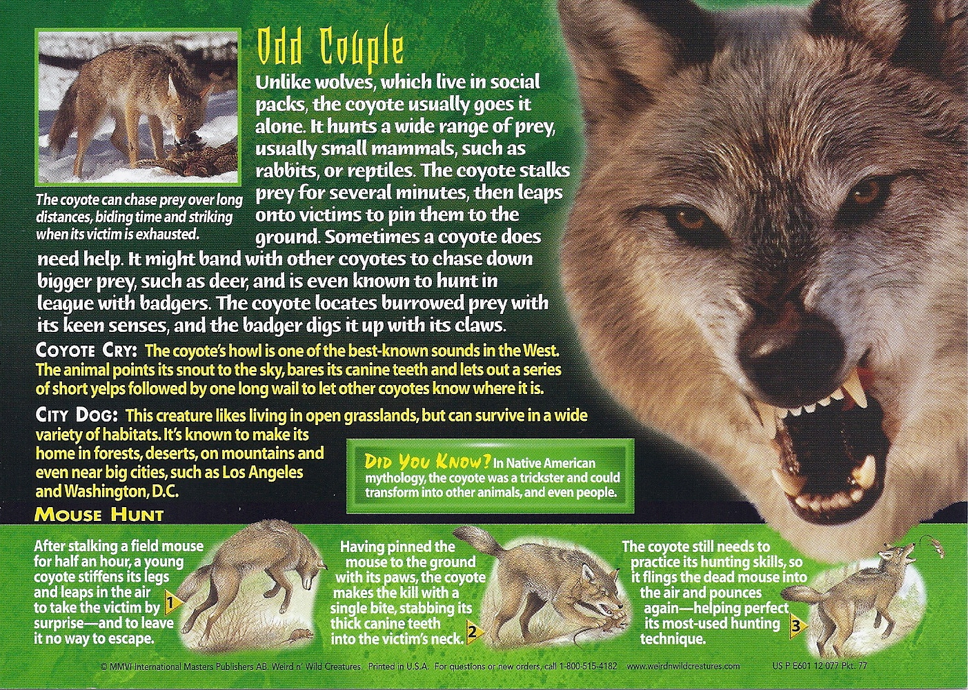 Coyote, Weird n' Wild Creatures Wiki